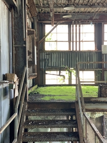 Mossy Floor of an Abandoned Garage in Ohio