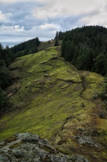 Mossy mountain side in the east side of the Cascades in Oregon 