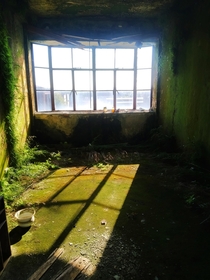 Mossy Room in Abandoned Shanghai Printing House