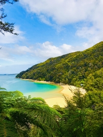 Most Vibrant Beach Ive Ever Seen Stilwell Bay Abel Tasman National Park New Zealand Te Wai Pounamu 