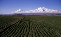 Mount Ararat  Photographer Hrair Hawk Khatcherian