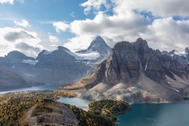 Mount Assiniboine soars above the changing foliage in British Columba Canada 