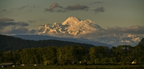 Mount Baker in the evening 