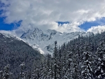 Mount Baker Ski Area Washington State USA OC x