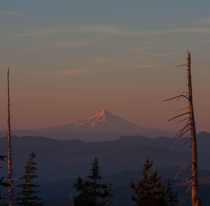 Mount Hood as seen from near the St Helens summit in Washington 