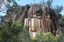 Mount Kaputar National Park near Narrabri New South Wales Australia   Dave Taylor