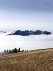 Mount Olympus Washington in a bed of clouds  ptrehan