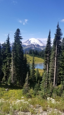Mount Rainier Chinook Pass Washington state 