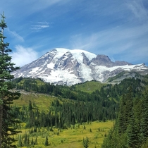 Mount Rainier National Park Washington 