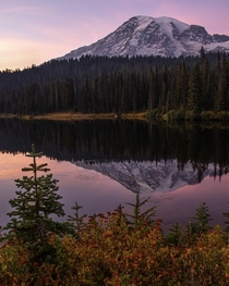 Mount Rainier National Park Washington  IGzachgibbonsphotography