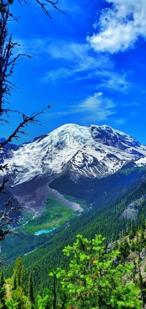 Mount Rainier National Park x 
