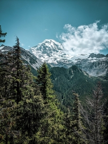 Mount Rainier National Park  x