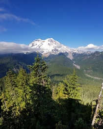 Mount Rainier view from N W Gobblers knob trail 