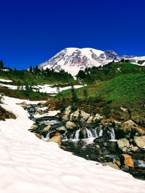 Mount Rainier Washington 