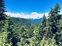 Mount Rainier Washington USA 
