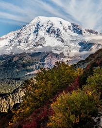 Mount Rainier with autumn color 