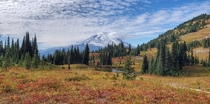 Mount Rainier with fall colors 