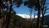 Mount Sannine-Lebanon Covered in snow Alt m