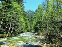 Mountain Creek - Cascade Mountains WA 