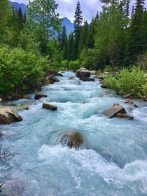 Mountain stream in Montana 