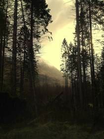 Mountain through the trees Glencoe region Scotland 
