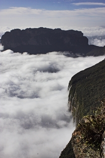 Mounte Roraima and Roraimia or Uei huge clouds from the South American jungles collide with these giantesque rocks called tepuys distributed between Venezuela and Brazil and become the largest waterfalls in the world and then gigantic rivers heritage of t