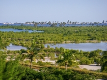 Mozambique Island and Mossuril mangrove 