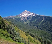 Mt Hood as seen from Bald Mountain 