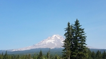 Mt Hood Oregon   x 
