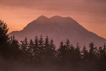 Mt Rainier at dawn by Jeffrey MB Hibbard x