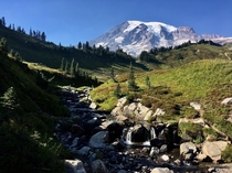 Mt Rainier back when you could still feel free to travel and breathe the air  x  