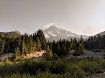 Mt Rainier from the Wonderland Trail 