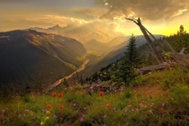 Mt Rainier is magnificent x-post from rpics 