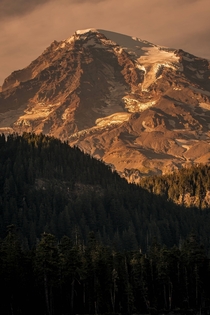 Mt Rainier National Park Washington State 