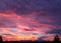 Mt Rainier Sunrise 