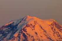 Mt Rainier Washington at Sunset 