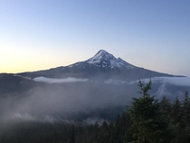 MtHood towers above the clouds and mist at dawn 