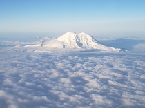 MtRainier standing high above blanket of clouds 