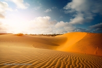 Mui Ne Sand Dunes Vietnam 