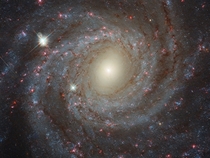 Multi-color closeup picture of the face-on spiral galaxy NGC  shot by the Hubble Space Telescope showing remarkable details from near infrared to ultraviolet wavelengths Yellowish light  old stars Blueish light  young star clusters Reddish light  star for
