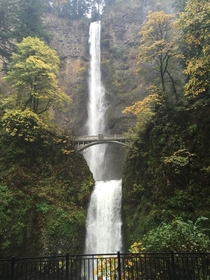 Multnomah falls outside of Portland OR along the Columbia River OC  x 