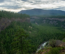 Murtle River Valley Wells Gray Provincial Park BC  x