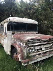 My aunt and uncle have this bus on their property