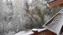 My backyard in Park City UT as of this moment Let it snow