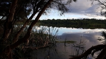 My chill spot Lake Joondalup Perth Australia  X