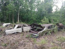 My Dad abandoned these cars  years ago