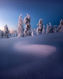 My favorite image of  photographed in Finnish Lapland in February this year 
