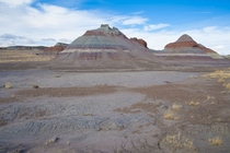 My favorite shot from Petrified Forest National Park in Arizona 
