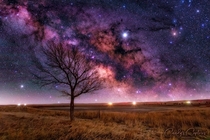 My favorite tree to photograph Taken at the Ramah State Wildlife Area east of Colorado Springs CO The Milky Way was tracked and then I blended it with the foreground If interested in equipment settings etc Please ask me any questions and Ill be happy to a