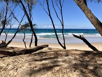 My favourite picnic spot Philip Park Gold Coast Qld Australia 